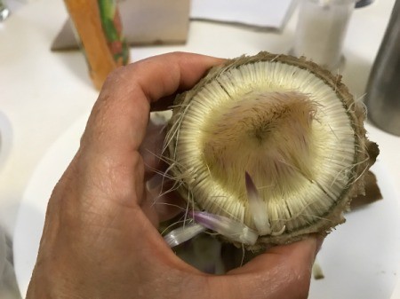 artichoke middle