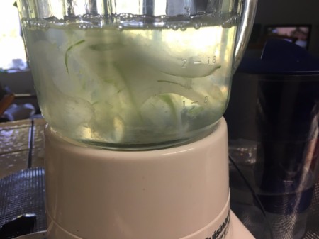 Aloe Vera gel added to water in blender