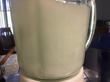 blended Aloe Vera Juice