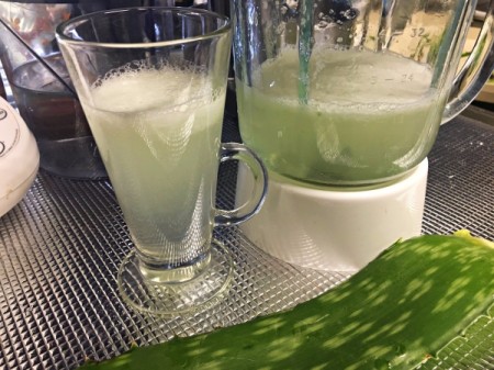 Homemade Aloe Vera Juice