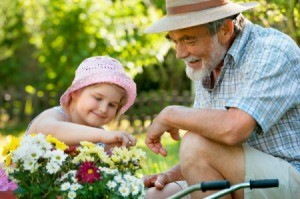 A young girl gardening with her grandpa.