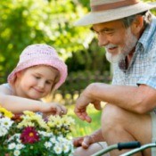 A young girl gardening with her grandpa.