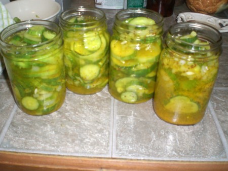 Sweet and Sour Refrigerator Pickles