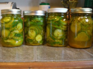 filled pickle jars with lids