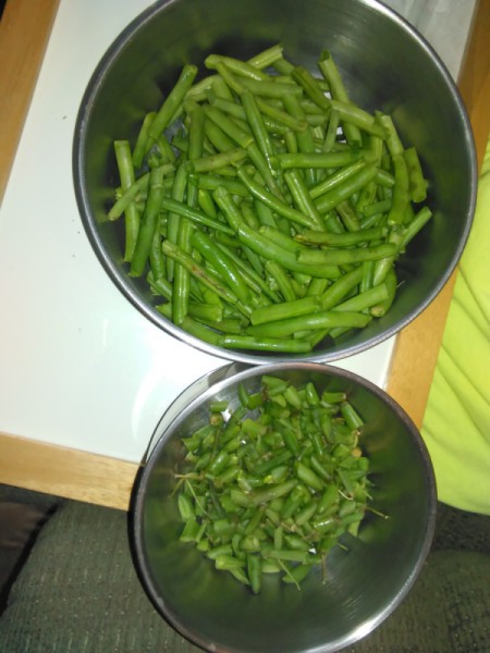 washed green beans