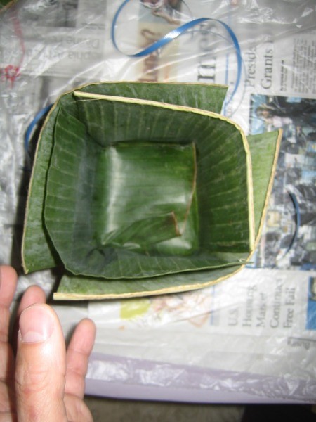 banana leaf square container