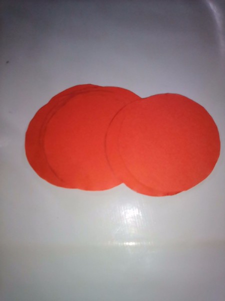 Making Folded Circle Paper Flowers - cut out circles