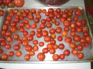 Frozen Small Tomatoes on cookie sheet