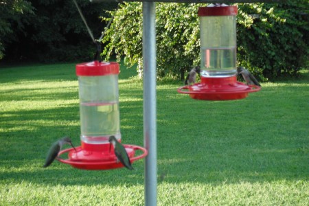 Hummingbirds at a bird feeder.