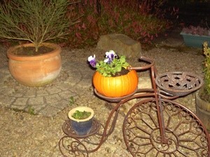 Pumpkin Planter