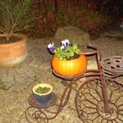 Pumpkin Planter