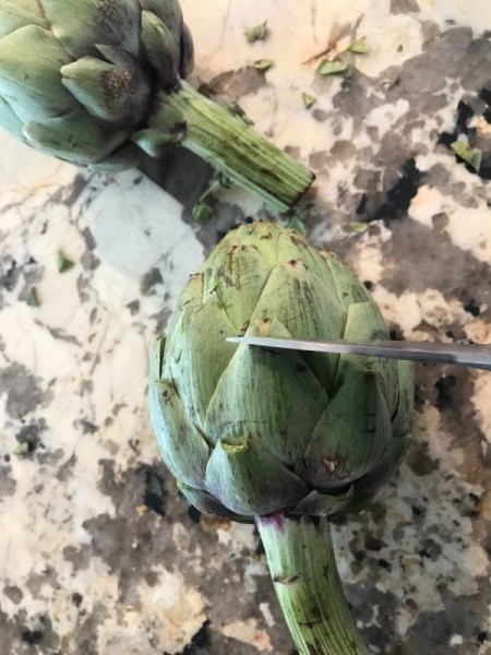 Cutting the tips off of the artichoke leaves.