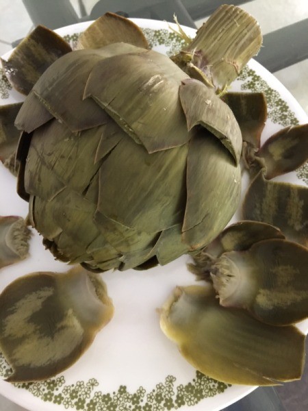 cooked artichoke