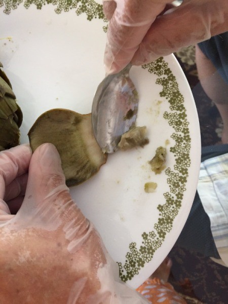 removing meat from artichoke