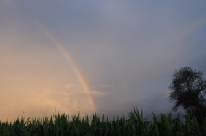 A rainbow over some fields.
