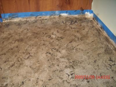 Painting Laminate Countertops