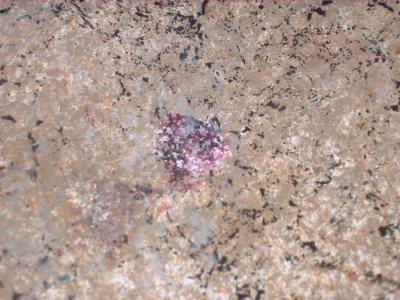 Painting Laminate Countertops