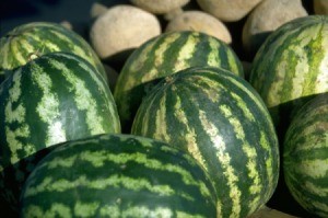 Cantaloupes and Watermelon