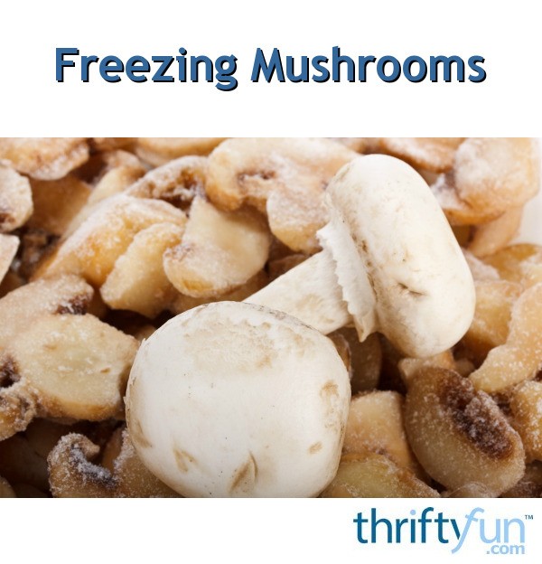 freezing mushrooms thriftyfun freezing mushrooms thriftyfun