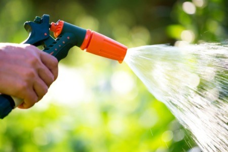 Watering using a house and sprayer on a sunny day.