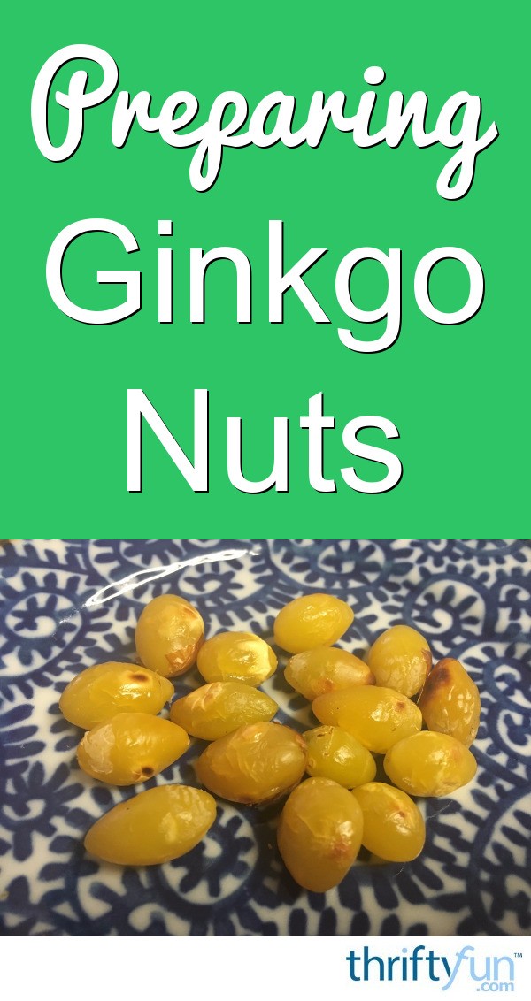 How to Prepare Ginkgo Nuts ThriftyFun