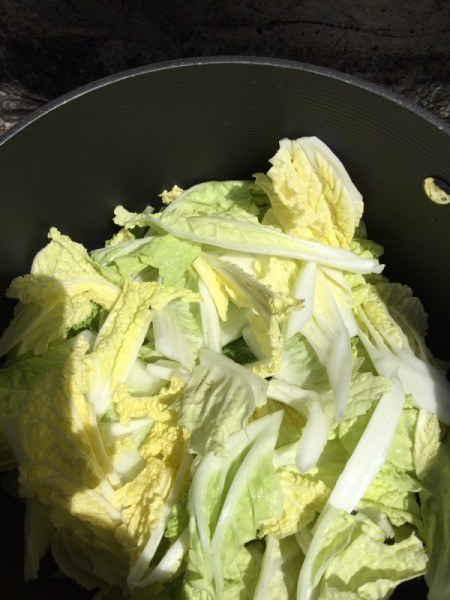 Napa Cabbage in pan
