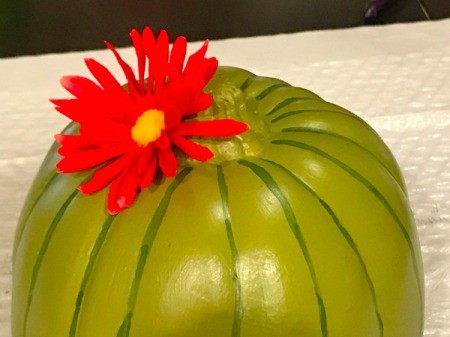 Foam Pumpkin Faux Cactus - view of flower glued on