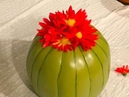Foam Pumpkin Faux Cactus - glue one flower to the top of the stem