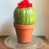 Foam Pumpkin Faux Cactus - enjoy your new decor piece