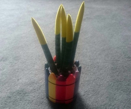 Identifying a Houseplant - odd looking plant in planter with crayon motif around outside