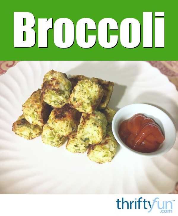 Broccoli Cauliflower Tater Tots ThriftyFun