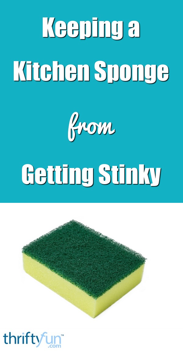 Kitchen Sponge from Getting Stinky 