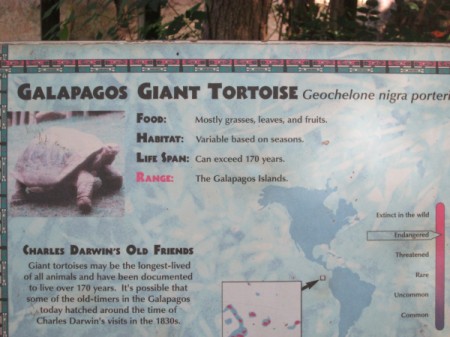 A sign about Galapagos giant tortoise at the SC Zoo.