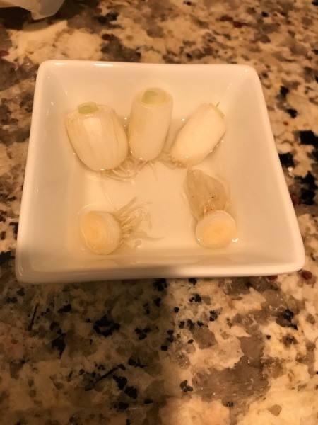 A collection of cut green onion roots, in a dish of water.