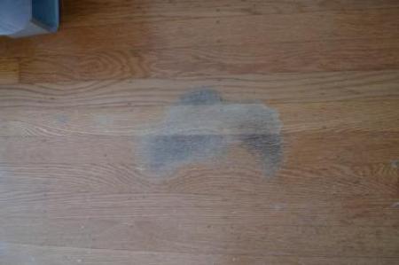 Pet Urine Stains on Hardwood Floors