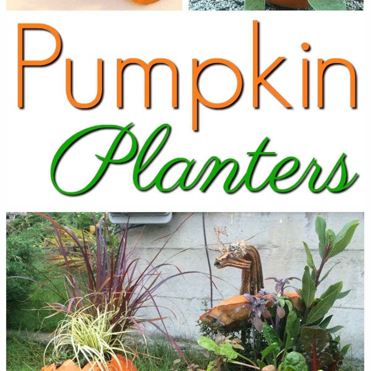 Pumpkin Planter Ideas | ThriftyFun