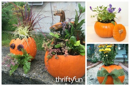 Pumpkin Planter Ideas