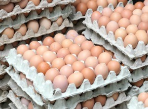bulk eggs