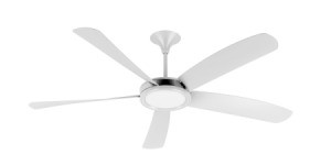 Ceiling fan on a white background.
