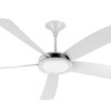 Ceiling fan on a white background.