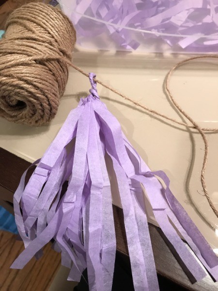 Tissue Paper Tassel Garland Decor
