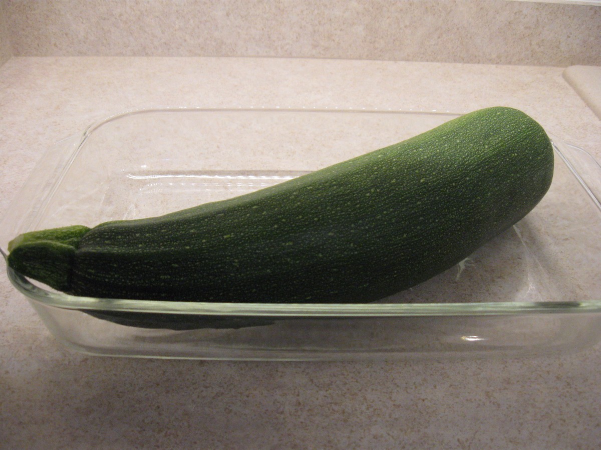When to Harvest Zucchini? ThriftyFun