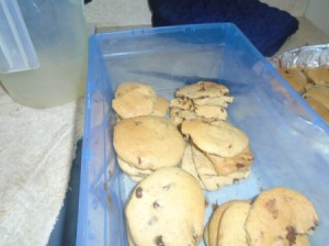 Chocolate Chip Cookies in container