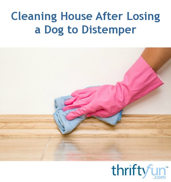Cleaning House After Losing a Dog to Distemper ThriftyFun