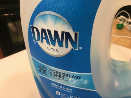 A bottle of dawn dish soap.