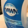 A bottle of dawn dish soap.