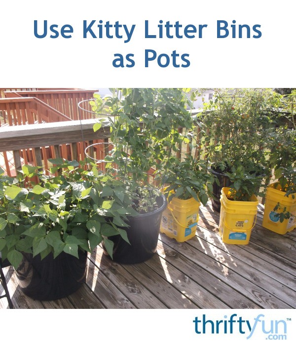 Use Kitty Litter Bins as Pots ThriftyFun