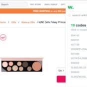 A browser extension that shows you discount codes for shopping websitesl