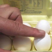 Testing a carton of eggs for cracks before purchasing.
