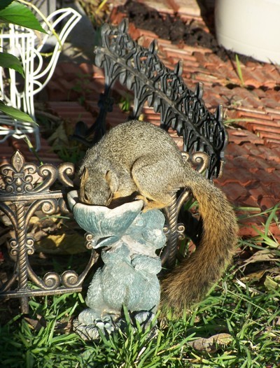 A squirrel eating from a bird feeder.